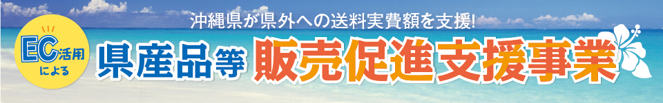 県産品等販売促進支援事業