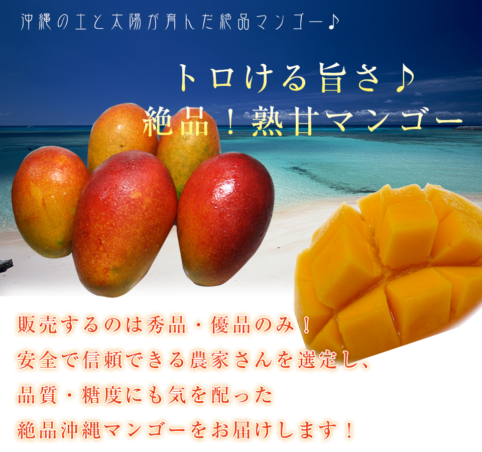 沖縄産 絶品 熟甘マンゴー 沖縄土産 フルーツ専門店の琉球フロント Onlineshop 沖縄産 絶品 熟甘マンゴー 沖縄土産 フルーツ専門店の琉球フロント Onlineshop