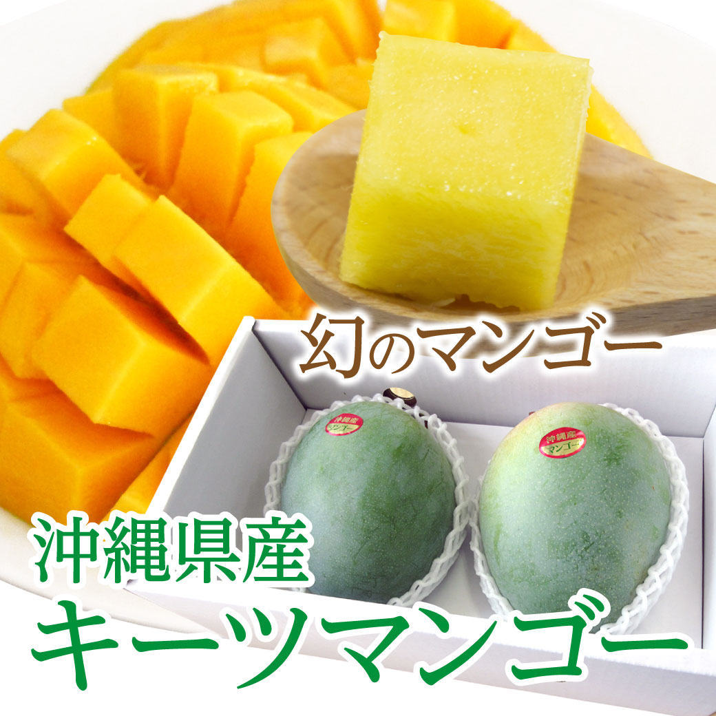 島とうがらし入り トマトケチャップ