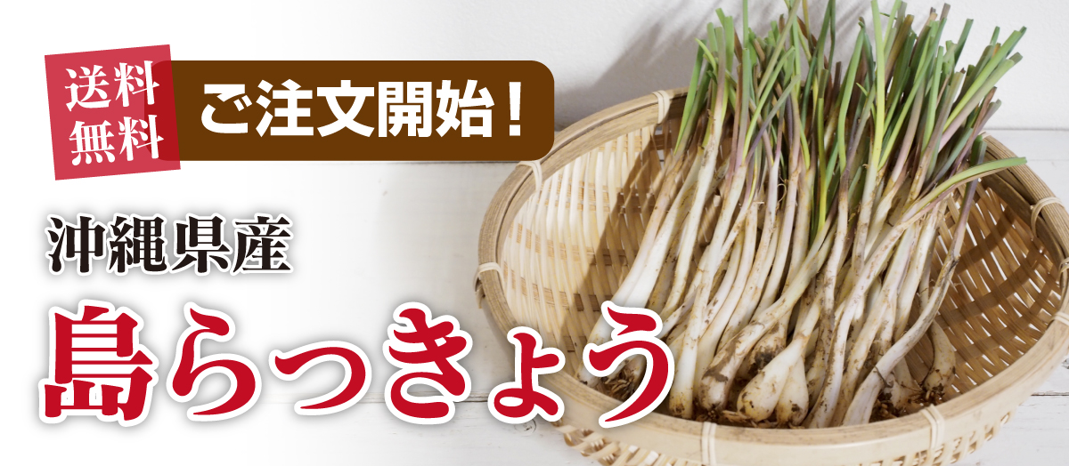 沖縄県産島らっきょう