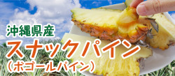 沖縄県産スナックパイン