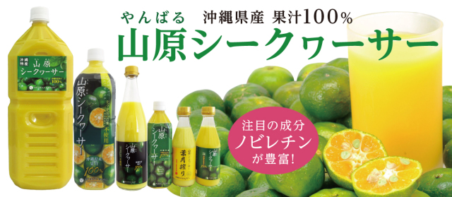 山原シークヮーサー