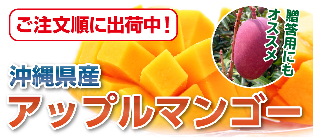 沖縄県産 アップルマンゴー