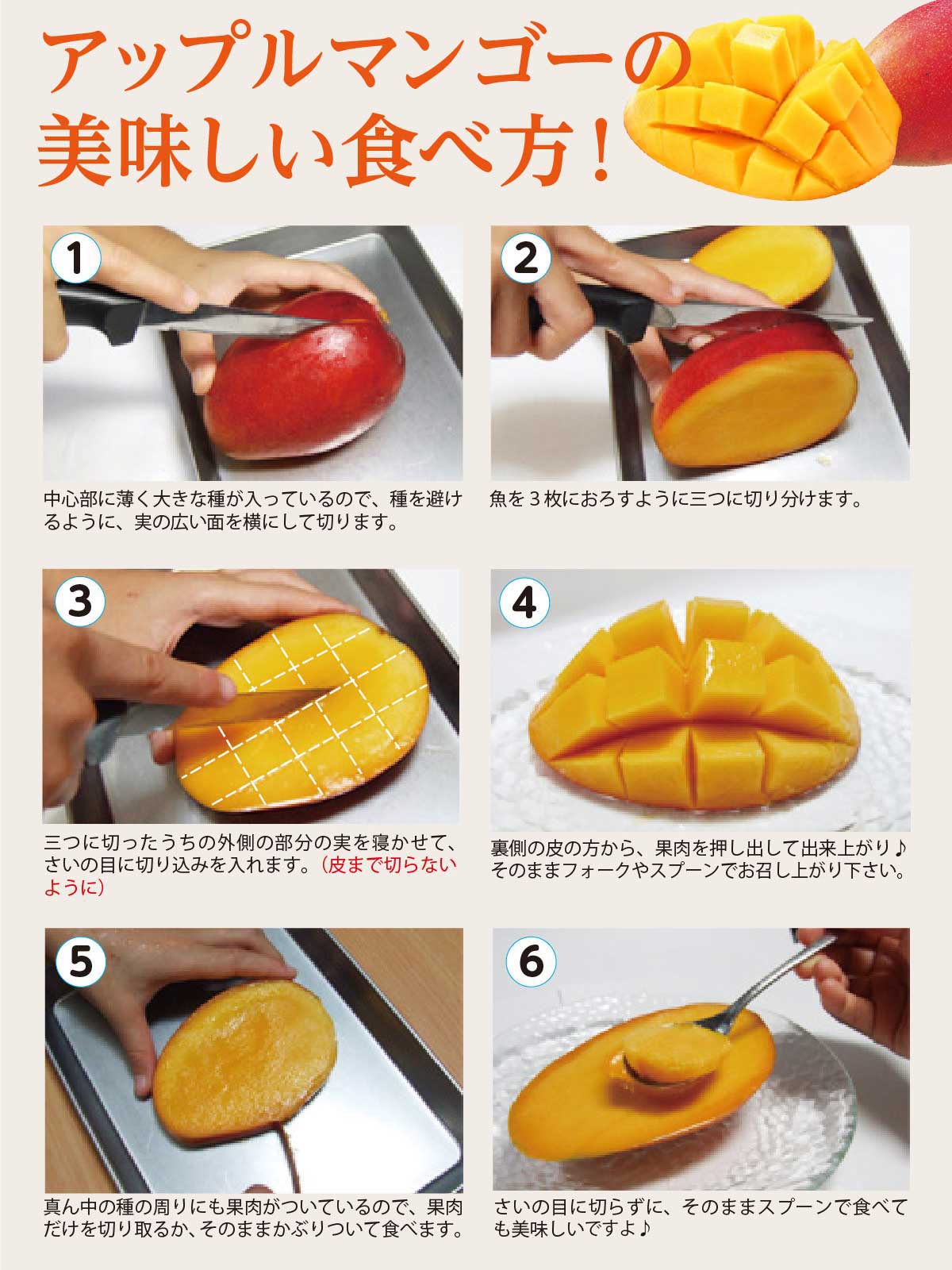 沖縄産アップルマンゴー