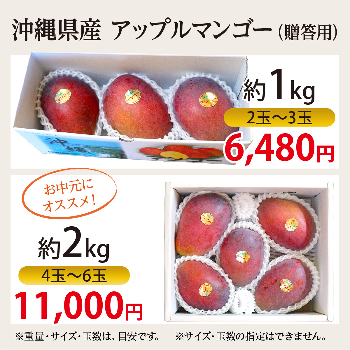 沖縄県産 アップルマンゴー 贈答用 約2kg（4玉～6玉）