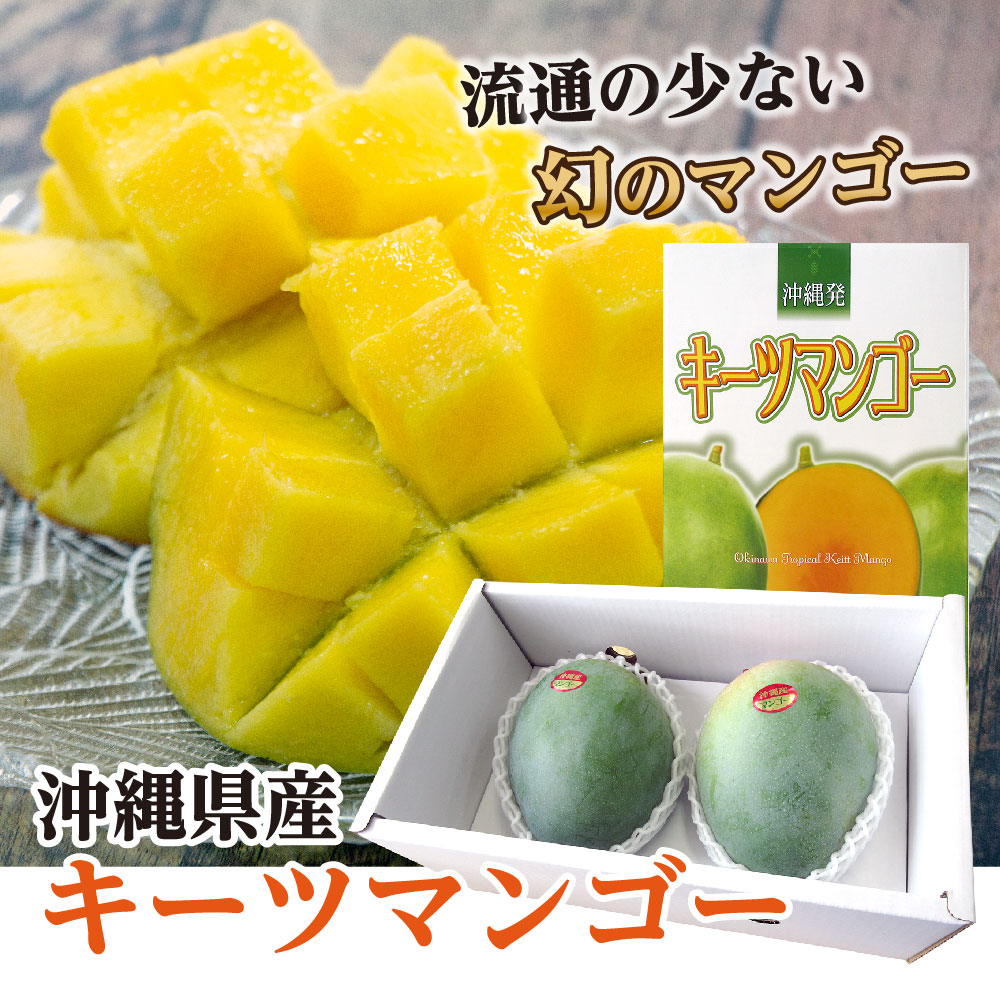 沖縄県産キーツマンゴー2．8キロ　果物