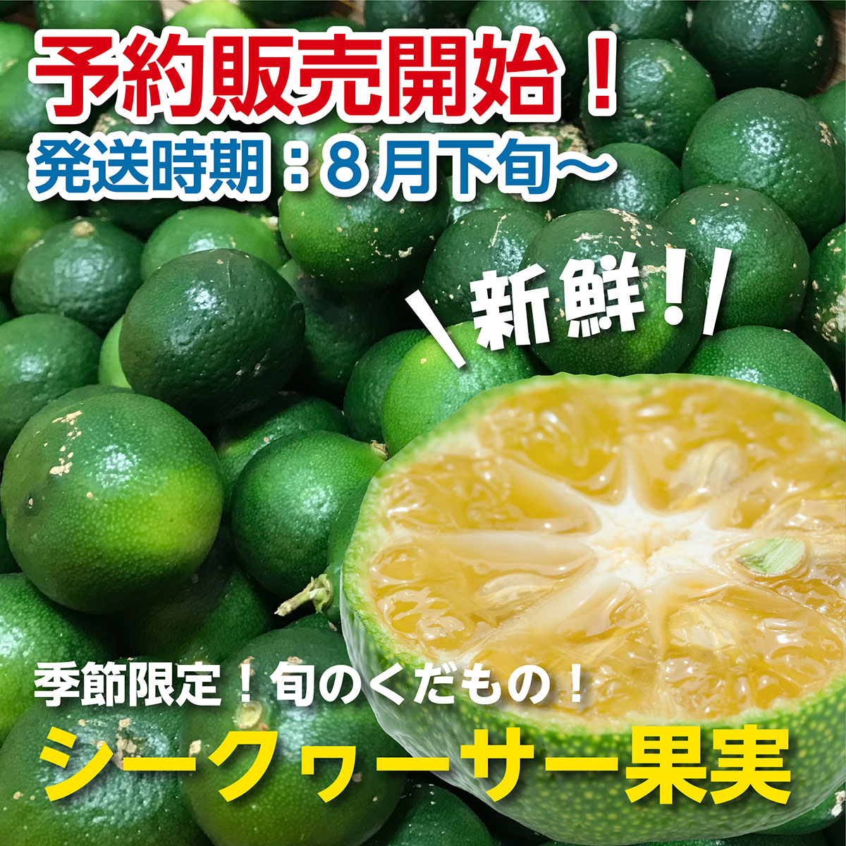 シークワーサーなど沖縄特産品を取り揃え/琉球フロント Online Shop