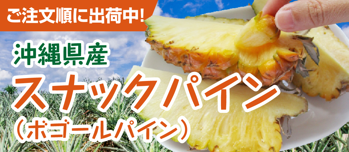 沖縄県産スナックパイン