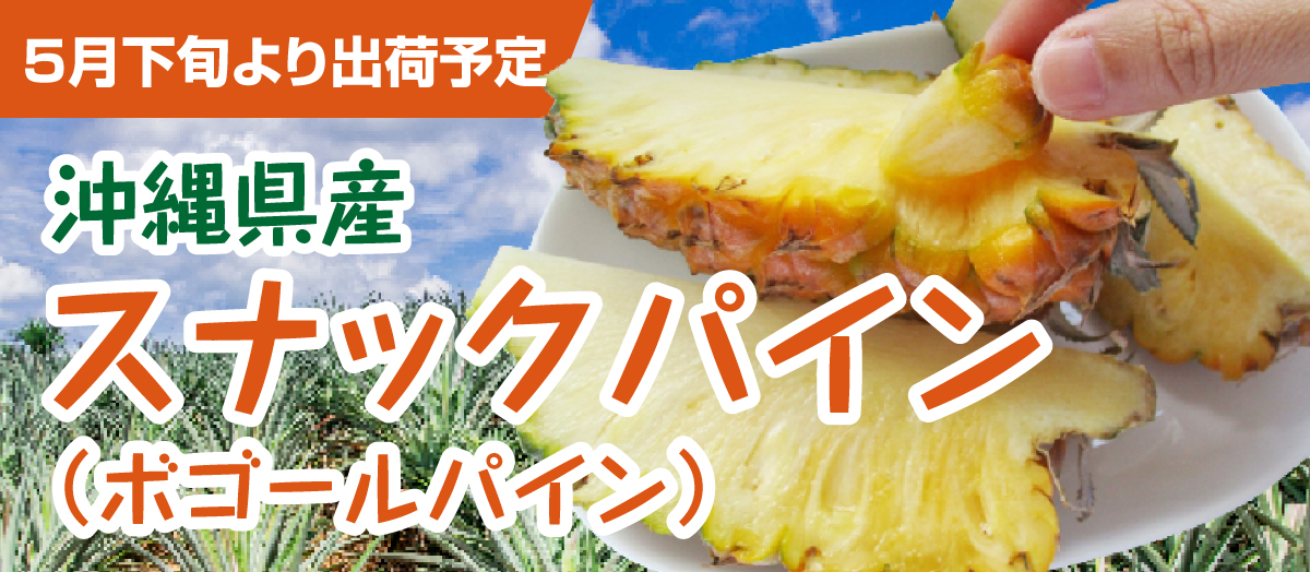 沖縄県産スナックパイン