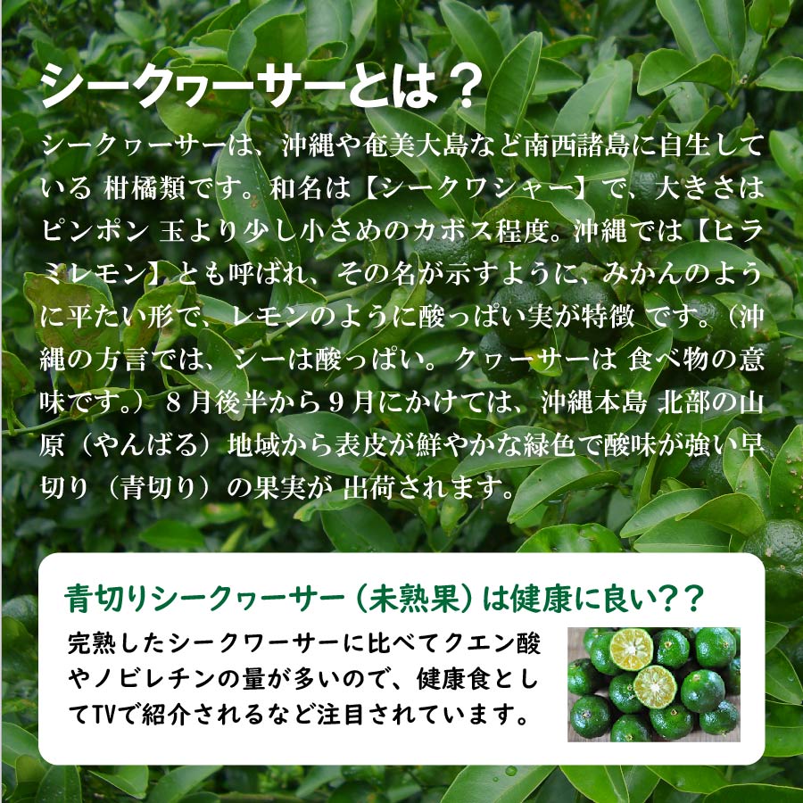 送料無料】化学肥料・農薬不使用 山原シークヮーサー 720ml×4本＋1本 琉球フロントOnlineShop